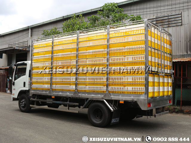 Xe Isuzu NQR75LE4 chở gia cầm thùng 5M8 giá rẻ-Xeisuzuvietnam.vn