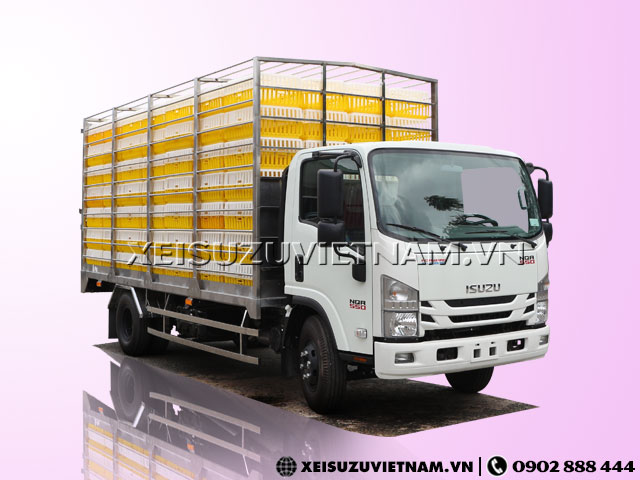 Xe tải Isuzu NQR75ME4 chở gia cầm giá cực sốc  - Xeisuzuvietnam.vn