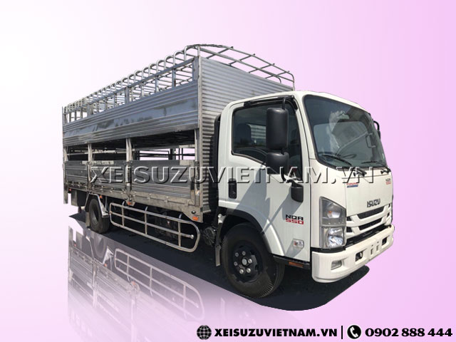 Xe tải Isuzu NQR75ME4 chở gia súc giá cực ưu đã - Xeisuzuvietnam.vn